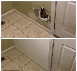 Drywall Repair for Pet Damage in Chesterfield