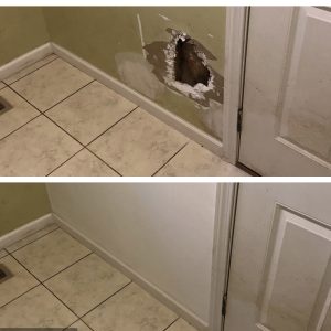 Drywall Repair for Pet Damage in Chesterfield